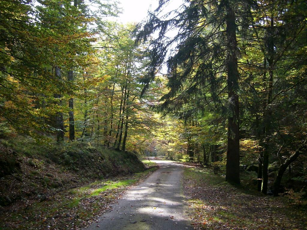 Chalet Du Montal Dun-les-Places Rum bild